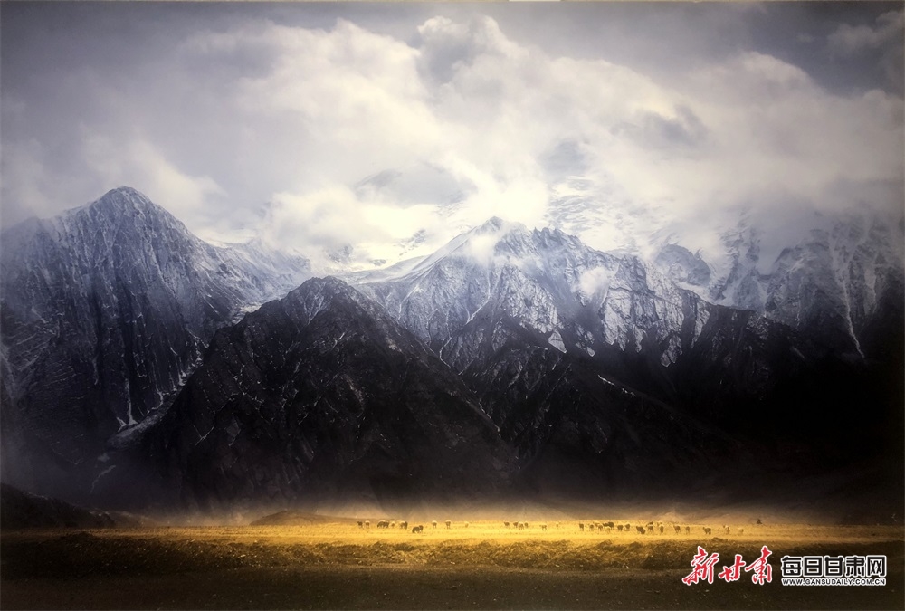 看点满满!第29届全国摄影艺术展精品展(甘肃)巡展开展