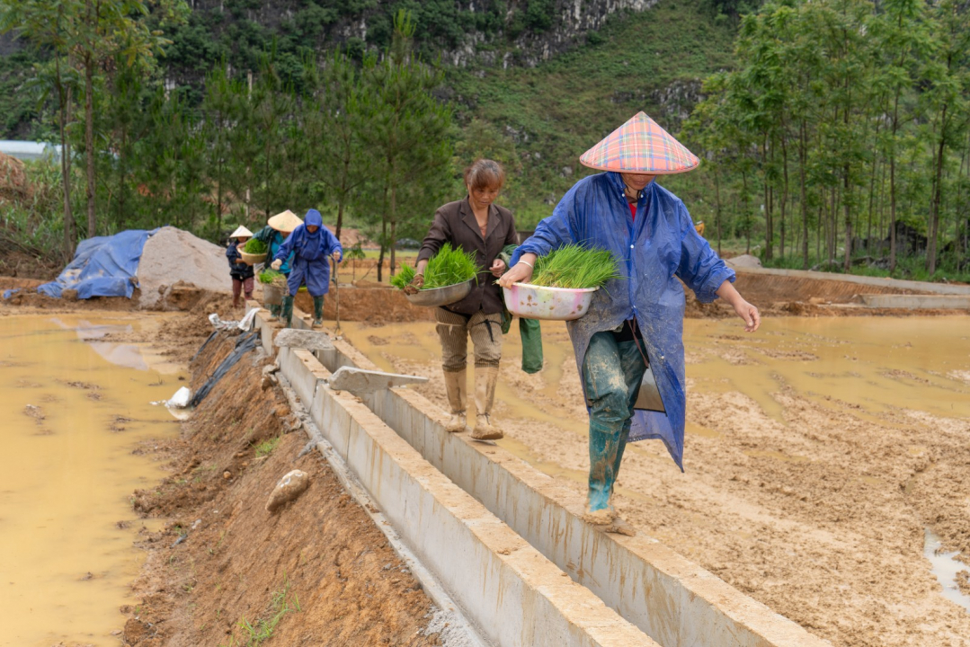 独山：旱地变水田，插秧正当时