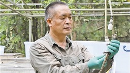 探访全球最大鳄蜥人工繁育基地 古生物在广西获新生