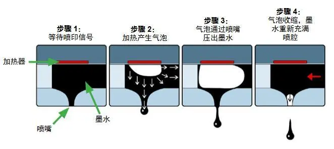 喷墨打印机丨热发泡VS微压电 谁更顺应当下市场环境？_fororder_图片1