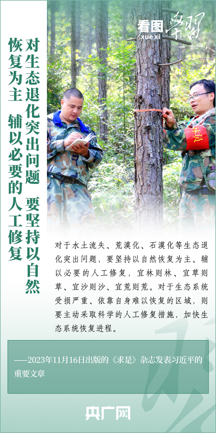 看图学习丨增绿就是增优势，植树就是植未来