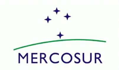 南方共同市场第64次首脑会议在巴拉圭举行