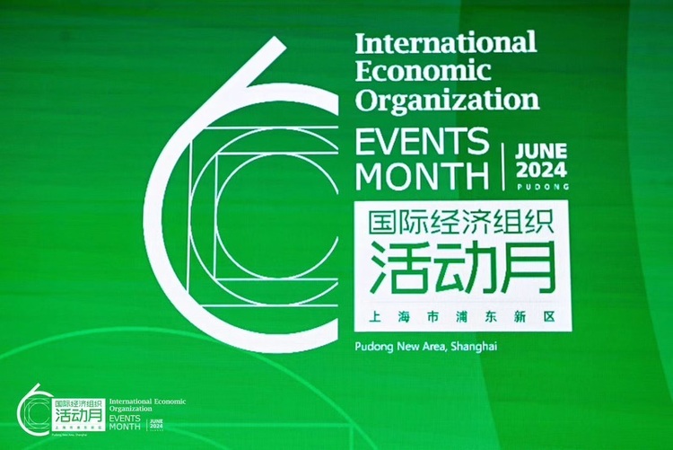 上海“浦东新区国际经济组织活动月”热力启动