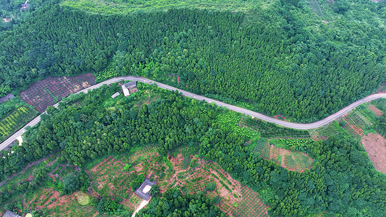 四川仁壽：“四好農村路”織就鄉村振興美麗圖景_fororder_航拍眉山市仁壽縣虞丞鄉丞相村宛如綢帶的“四好農村路”02