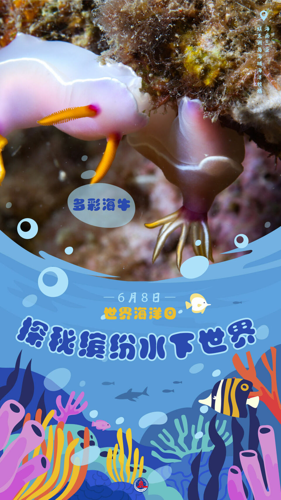 新华全媒+｜一组海报，带你探秘缤纷水下世界