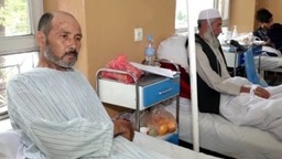 阿富汗过去六个月登记超1000例疟疾病例