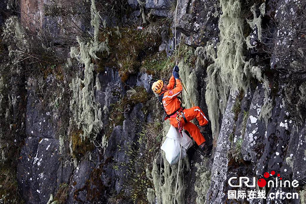 据了解,峨眉山风景区将在舍身崖清理垃圾的环卫工人称为"下崖工",游客