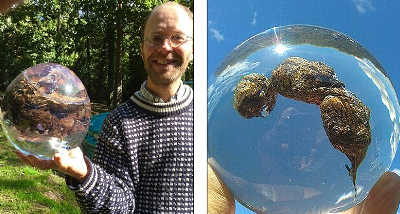 英粪便博物馆将巡展18种生物粪便 包括3800万年样本(组图)