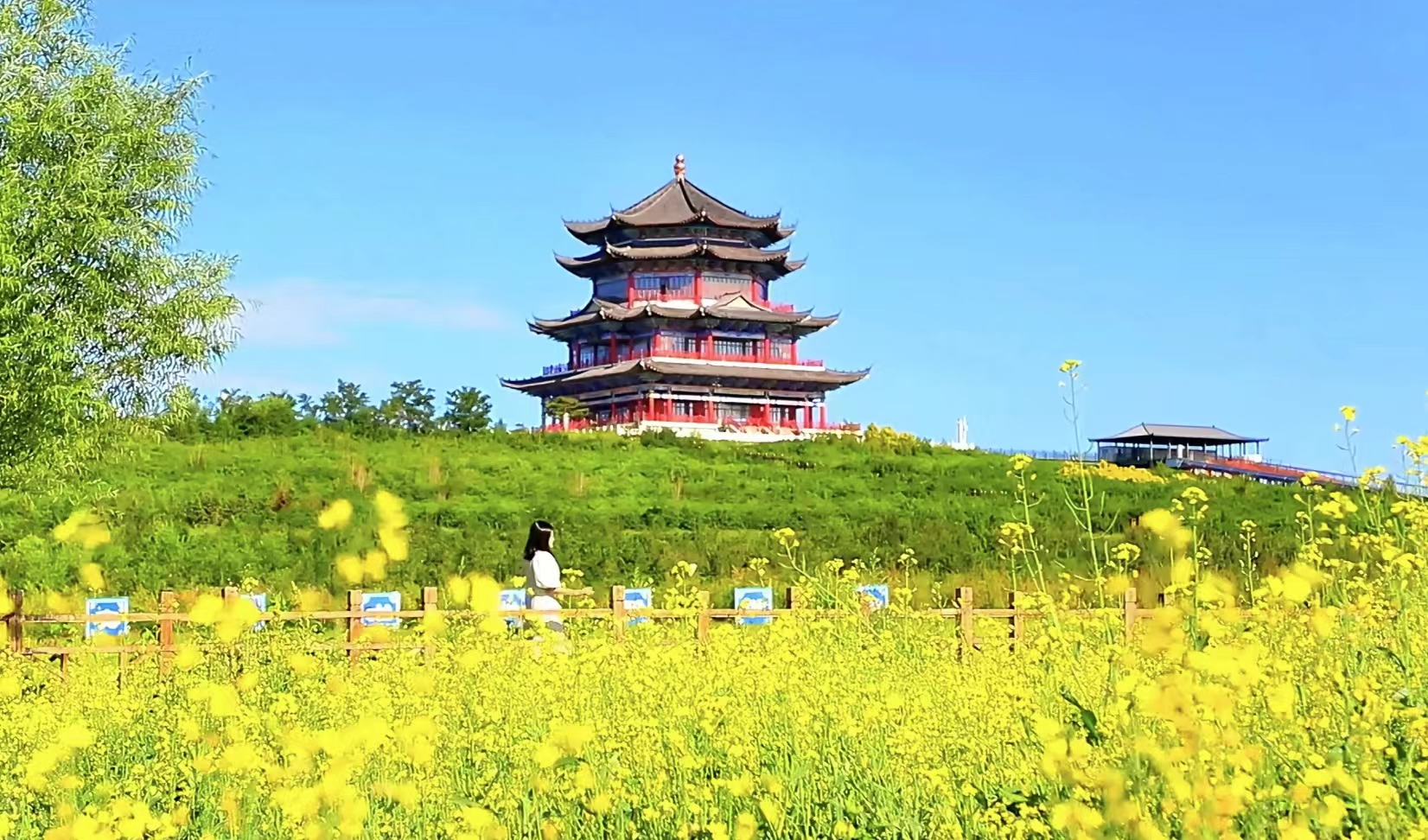 暢遊花園突泉 邂逅浪漫之美