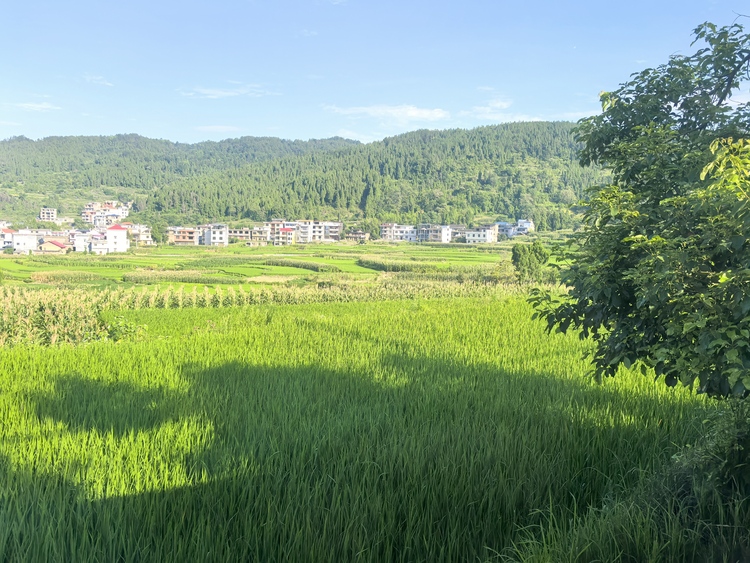 云端村镇的足球赛_fororder_微信图片_20240710112514