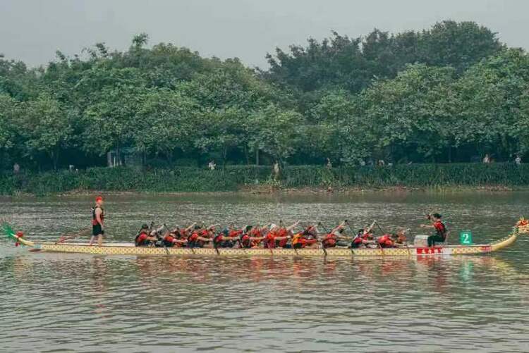老外爱上划龙舟：希望龙舟成为奥运会比赛项目