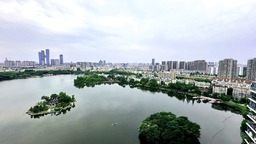 南京：城市“鋼鐵森林”間有座“生態鳥島”