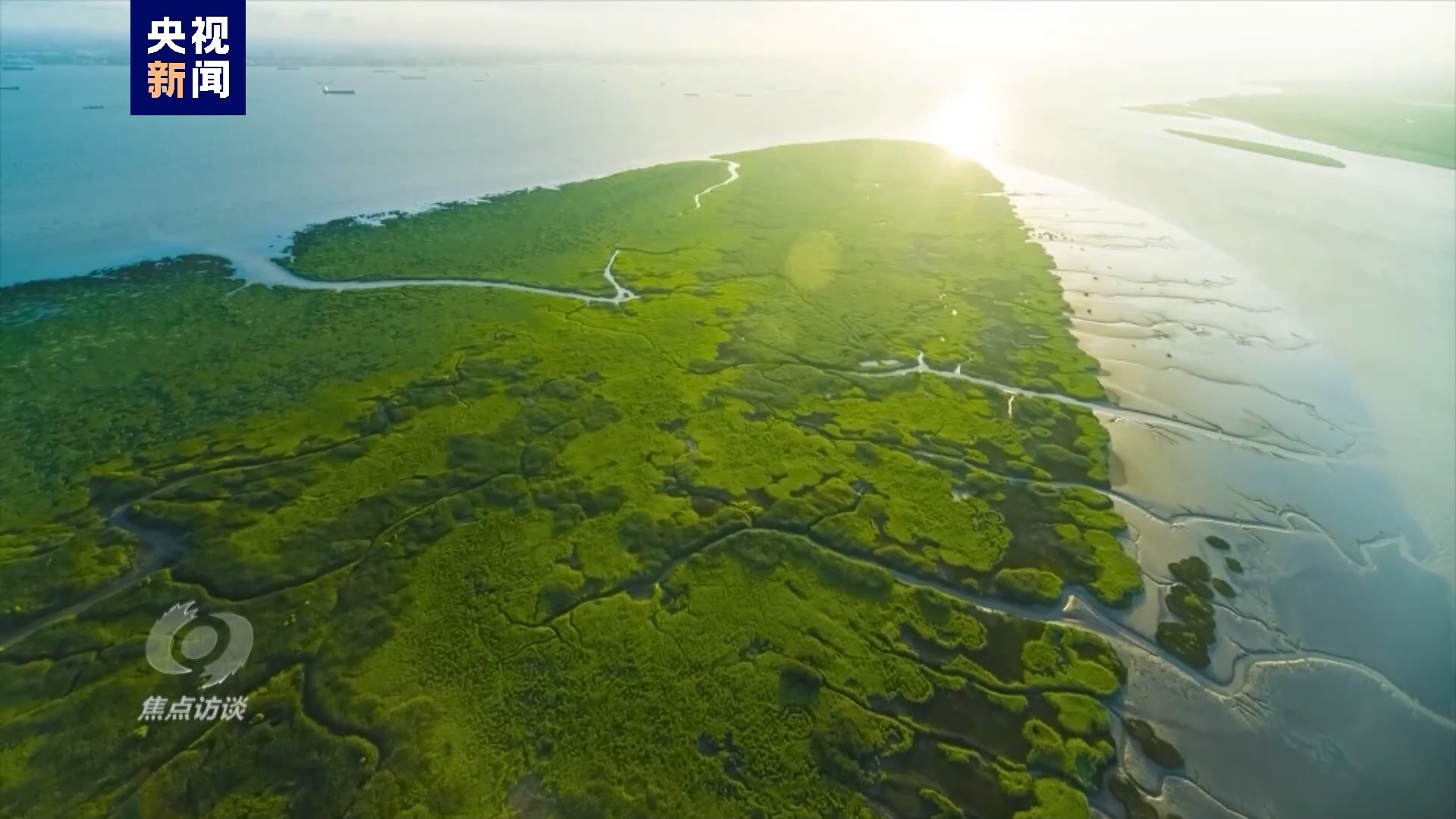 伟大的历史变革丨绘就生态新画卷