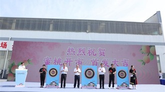  2024 Yangshan honey peach debut and Shunfeng technology to help industry upgrade event held
