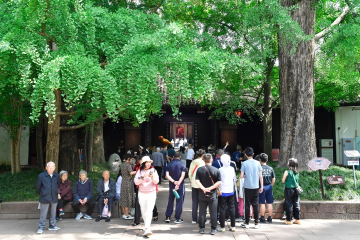 （转载）从“保下来”“懂起来”到“活起来”｜三苏祠，守住文化千年根脉 传承述说美好未来