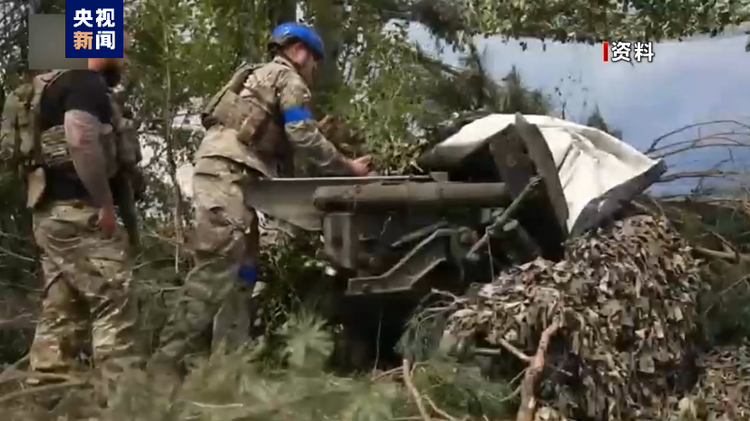 德左翼人士呼吁勿在乌克兰问题上“玩火”