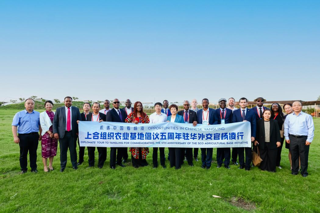 Cinquième anniversaire de l'initiative de la base agricole de l'OCS : des diplomates en poste en Chine de plus de 10 pays recherchent des opportunités en Chine à Yangling_fororder_圖片1