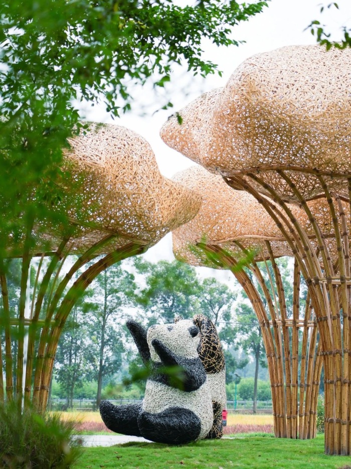 （转载）崇州一竹一茶，折射成都高水平开放