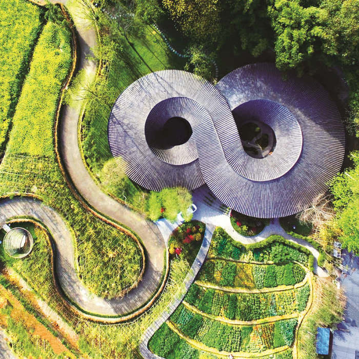 （转载）崇州一竹一茶，折射成都高水平开放