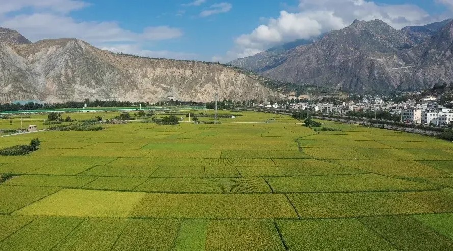 【原创】值得一来 | 在武都开启“美食+美景”双享之旅_fororder_0fa9f8db7c71498d91e5fd688c520c1f~noop