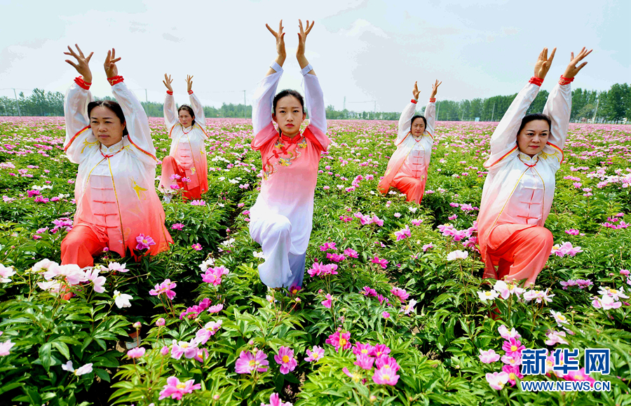 芍药花海添元素 五禽戏中展非遗