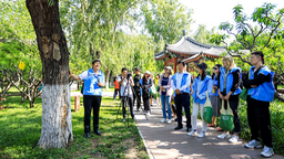 守护古树 贡献城市生物多样性保护 2024“奥迪中国自然城市行动”项目正式启动