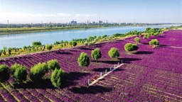 呼和浩特：城市有温度 幸福有质感