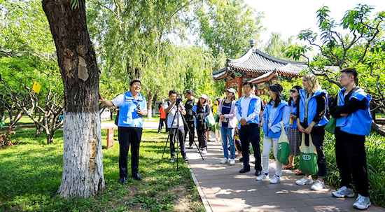 守护古树 贡献城市生物多样性保护 2024“奥迪中国自然城市行动”项目正式启动_fororder_image001