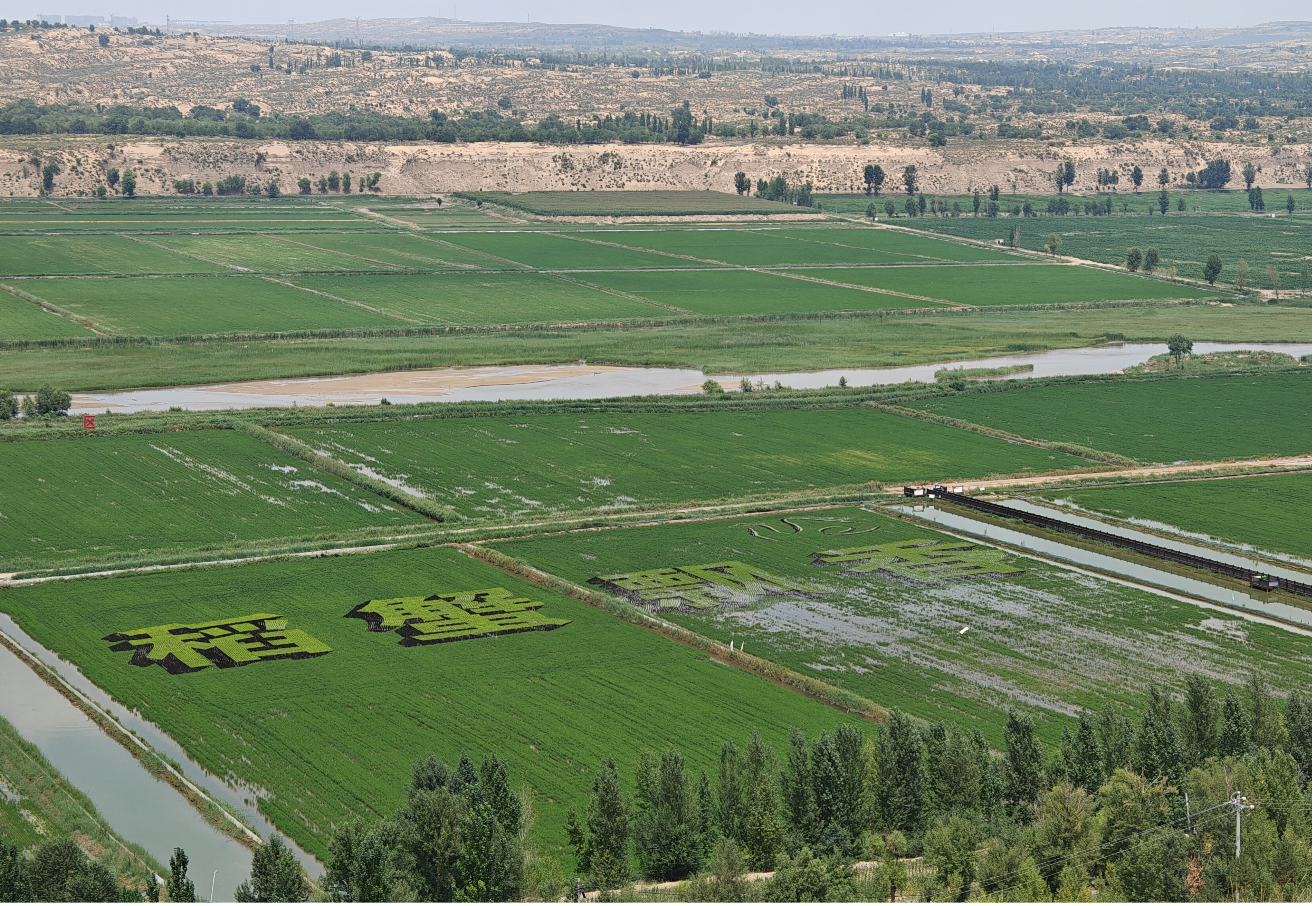 从满天黄沙到绿满塞上 治沙精神铸就榆林生态治理奇迹_fororder_图片6