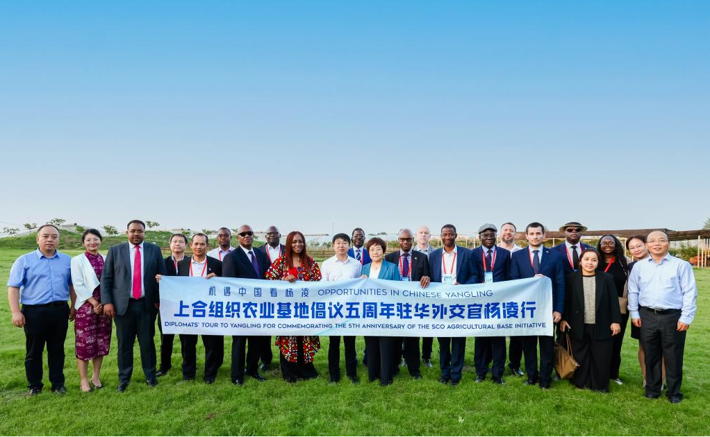 В пятую годовщину Инициативы ШОС по созданию сельскохозяйственной базы дипломаты из более чем десяти стран в КНР ищут возможности для развития в районе Янлин