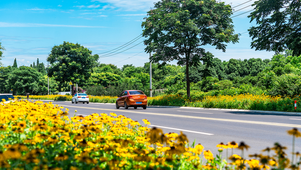 Chengdu Chongzhou: A Road into a Summer of Romance_fororder_微信图片_20240612104305