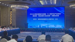 2024“湾区湘商 百企回湘”考察洽谈系列活动启动