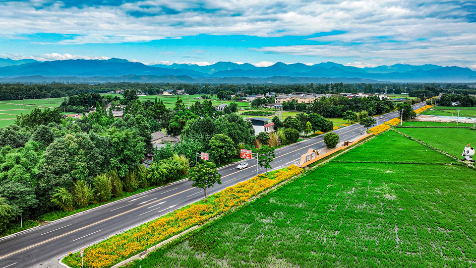 Chengdu Chongzhou: A Road into a Summer of Romance_fororder_微信图片_20240612104310