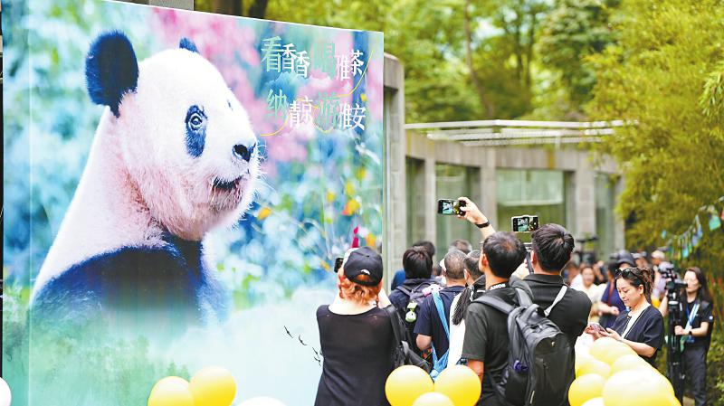 （转载）探熊猫故乡 品蜀风茶韵 中外媒体主题采访活动走进四川_fororder_d34dd63047420030c9928240a3cbbd68