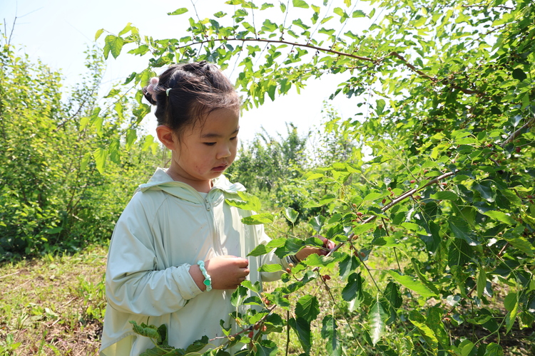 北大荒集團名山農場有限公司果園産業興旺 帶動鄉村全面振興_fororder_d92c36a3276a97745e64d6d4b83761d7