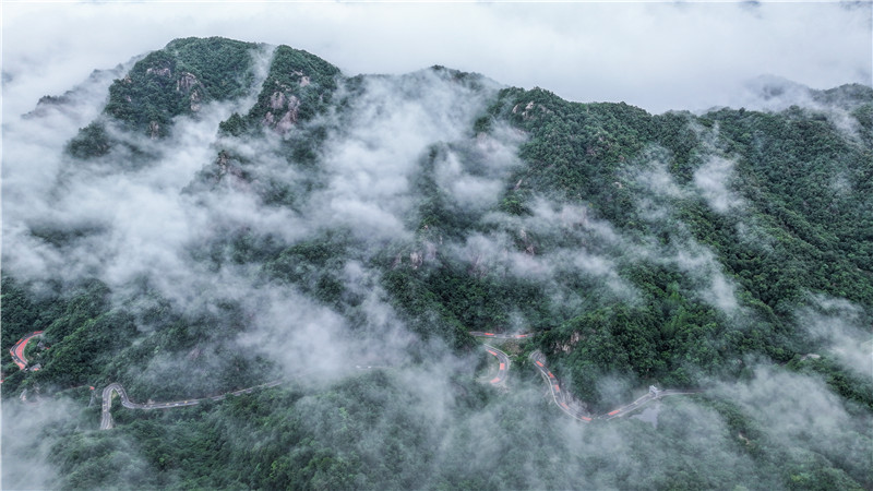 平頂山魯山石林路：雲霧繚繞美如畫_fororder_DJI_20240715164449_0280_D