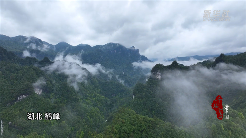 千城百縣看中國｜湖北鶴峰：青山雨後黛如詩_fororder_微信圖片_20240717093939