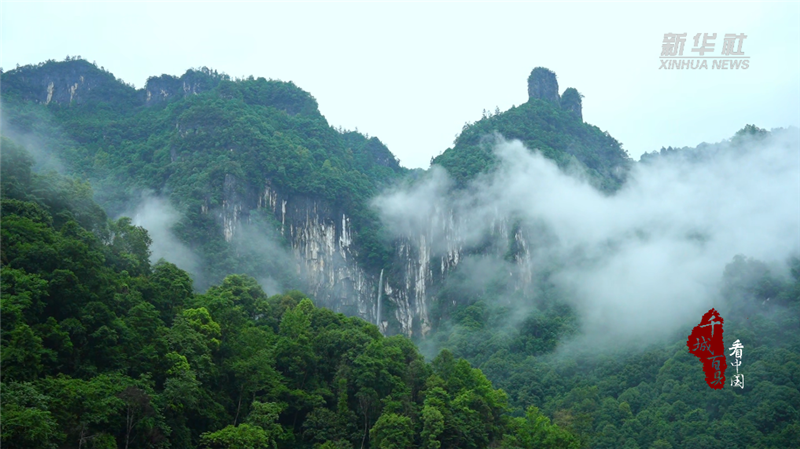 千城百县看中国｜湖北鹤峰：青山雨后黛如诗_fororder_微信图片_20240717093951