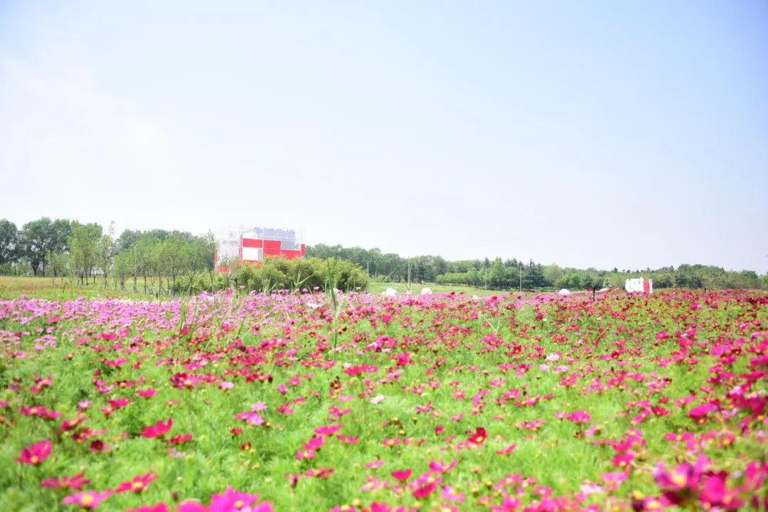 【镜观陕西·第24期】西安北，来看“海”啊！_fororder_图片7