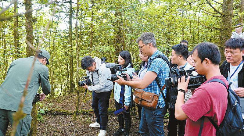 （转载）探熊猫故乡 品蜀风茶韵 中外媒体主题采访活动走进四川_fororder_036c45f84021b920230e873c2cebc347