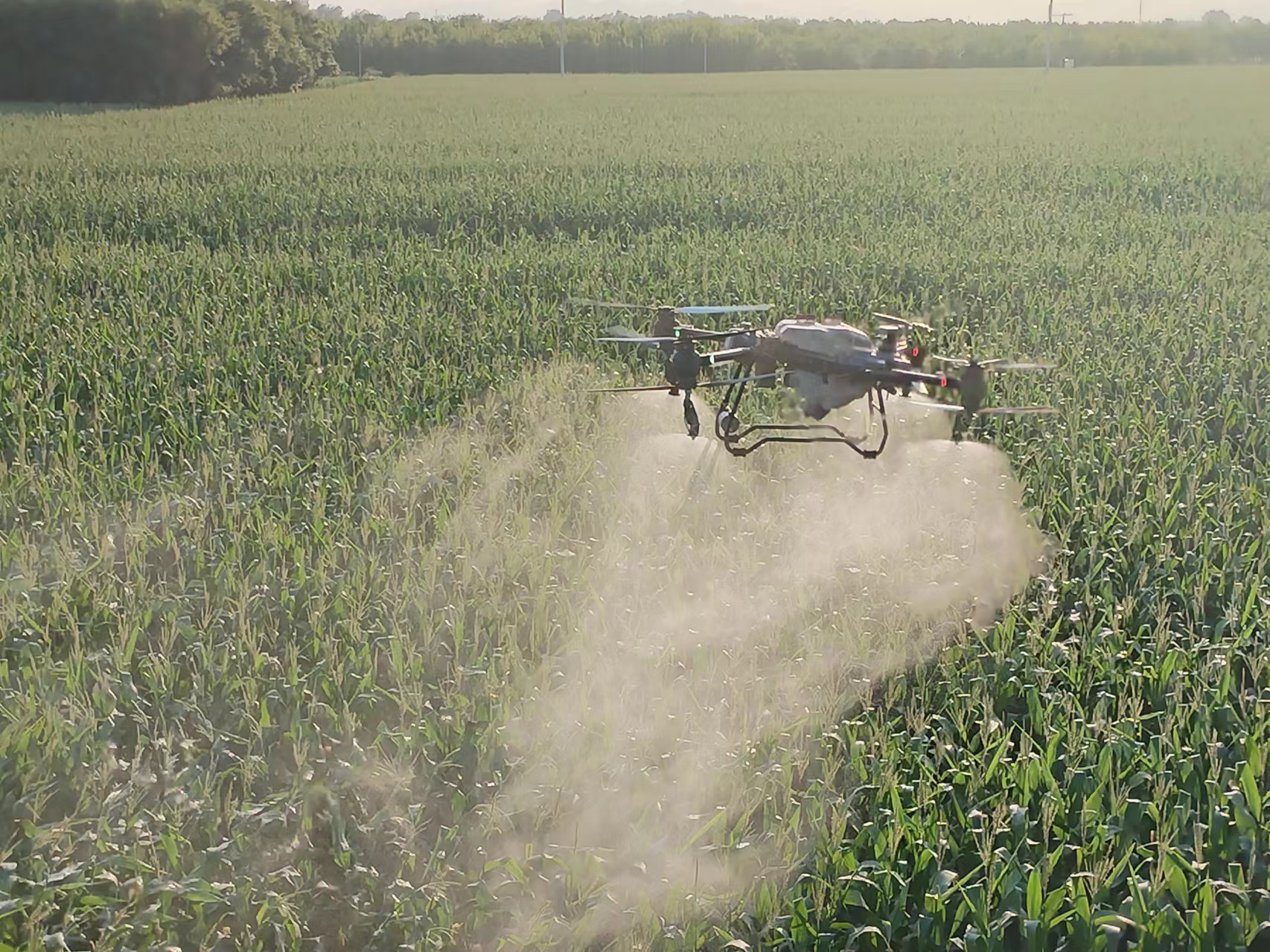 描绘农业新"丰"景 中国农大科技特派团深入保定徐水指导农业生产