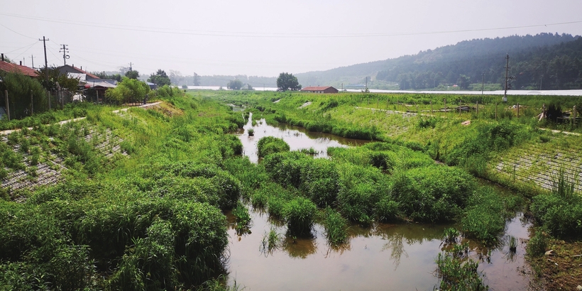 吉林省四平市：從“劣V類水質”到“入圍示範城市”