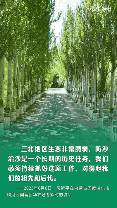 學習·知行丨書寫綠色奇跡 習近平指引走好中國特色防沙治沙之路