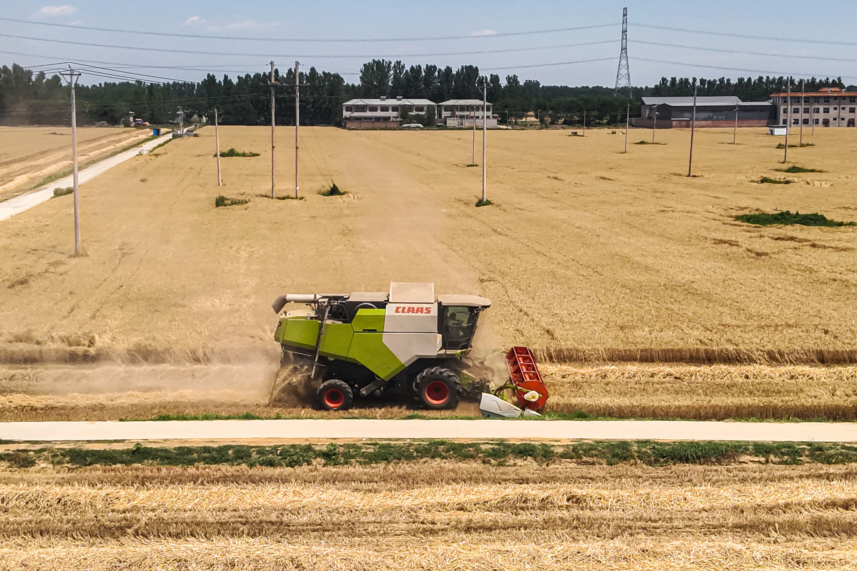 河北定兴：高标准农田麦浪翻涌奏响“丰收曲”_fororder_002