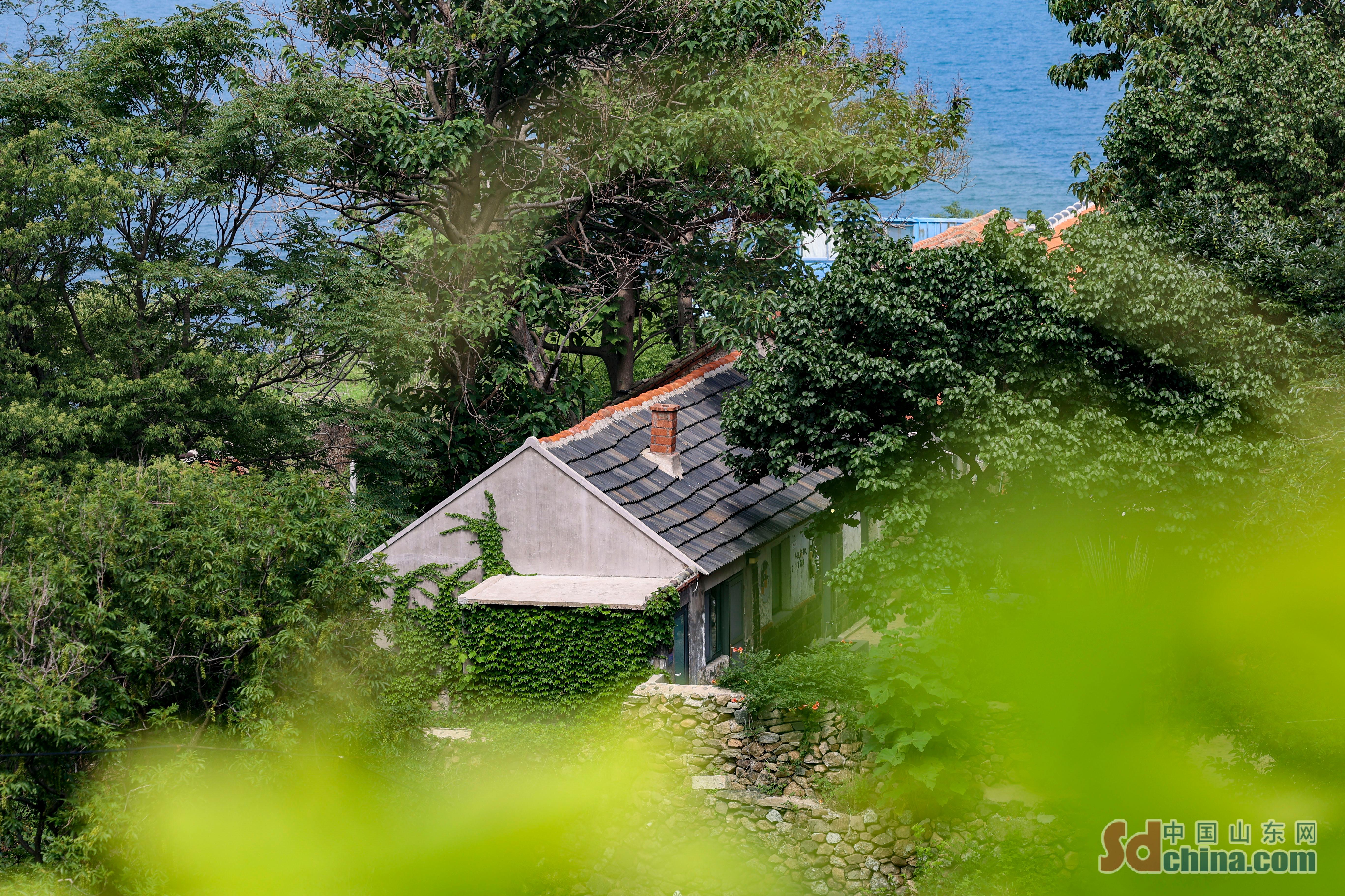 “文化+民宿” 青岛以特色旅游吸引游客