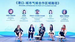 美国专家到上海参加研讨会 渴望传播中国经验