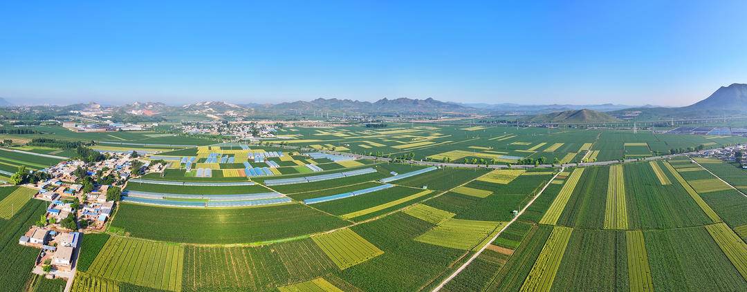 朝阳：夏日丰收景，大地美如画