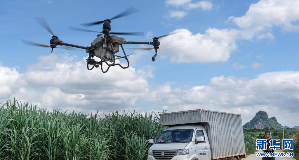 廣西:機械化生産智慧化管護提升甘蔗生産效能