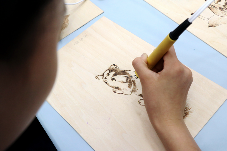 河北省“科学探究点亮校园”公益行动在沧州举办_fororder_图片 4