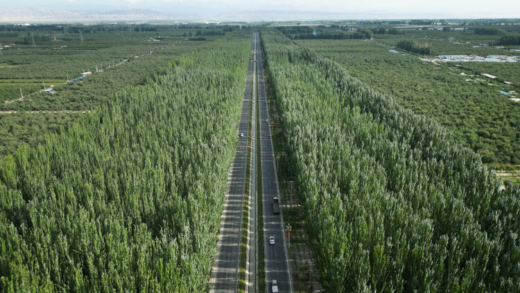 努力构筑更加牢固的北疆万里绿色屏障——“三北”工程攻坚战进行时